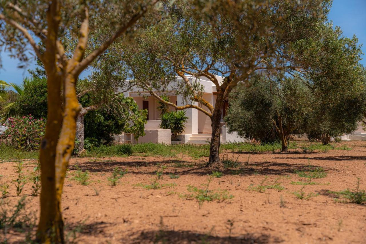 Siamoformentera Villa Beatrice ปลายามิจอร์น ภายนอก รูปภาพ